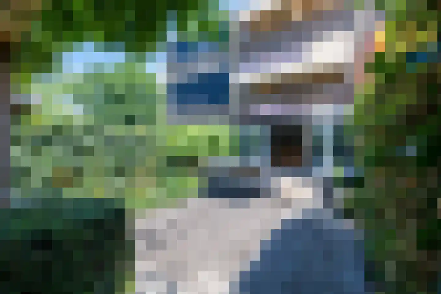Scholeksterlaan 110 Vinkeveen thumbnail 8
