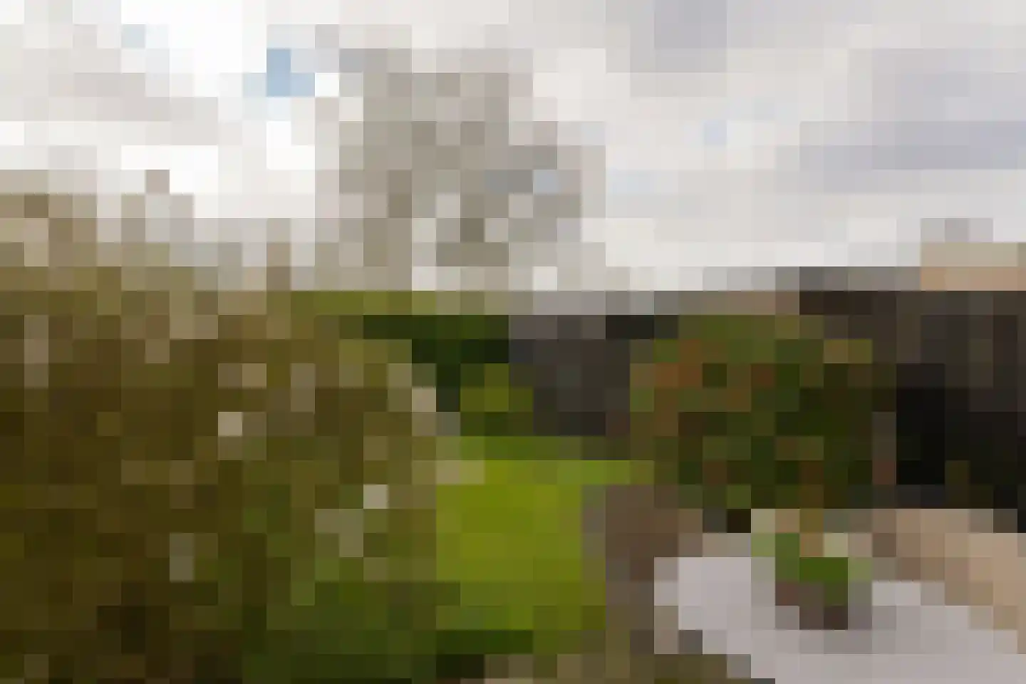 Scholeksterlaan 12 Vinkeveen thumbnail 22