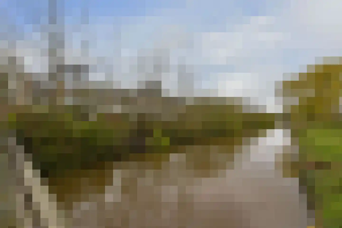 Scholeksterlaan 12 Vinkeveen thumbnail 25
