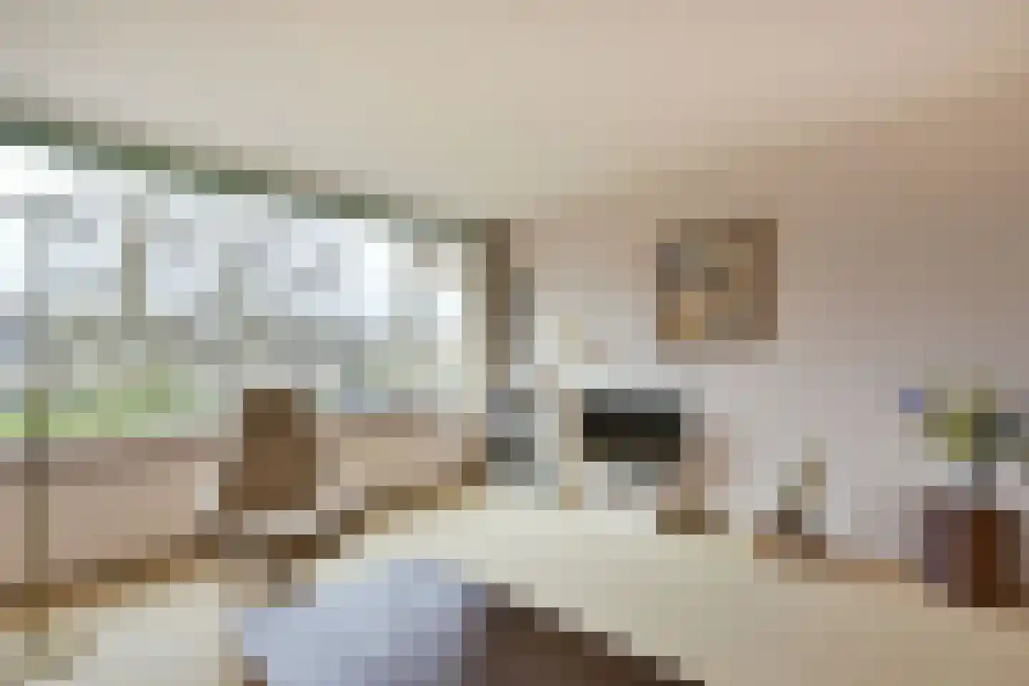 Scholeksterlaan 12 Vinkeveen thumbnail 6