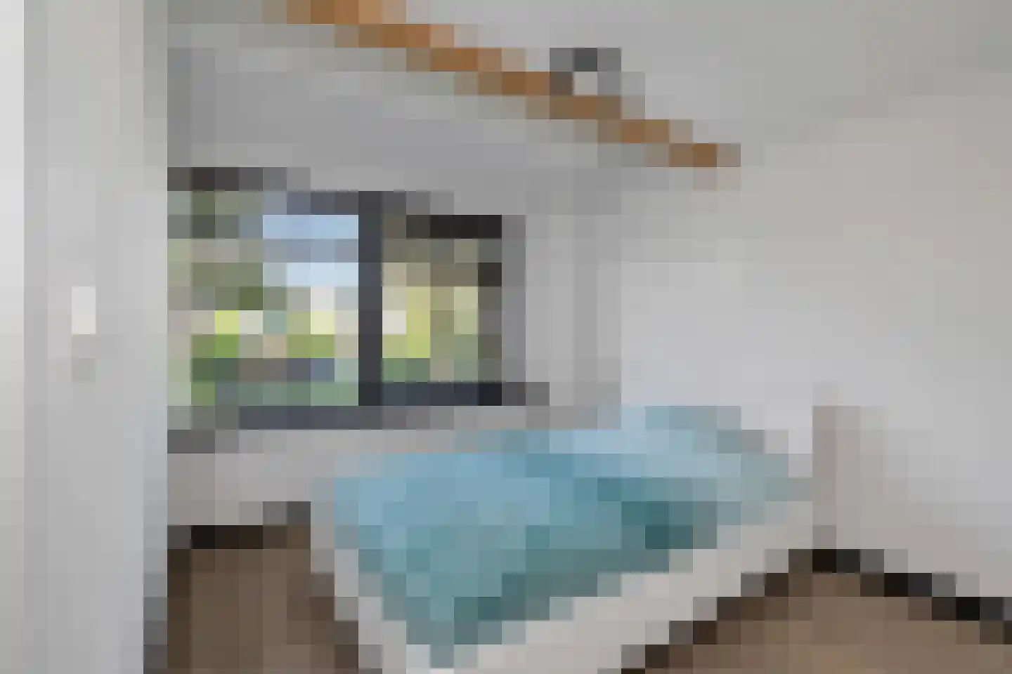 Scholeksterlaan 17 Schagen thumbnail 23