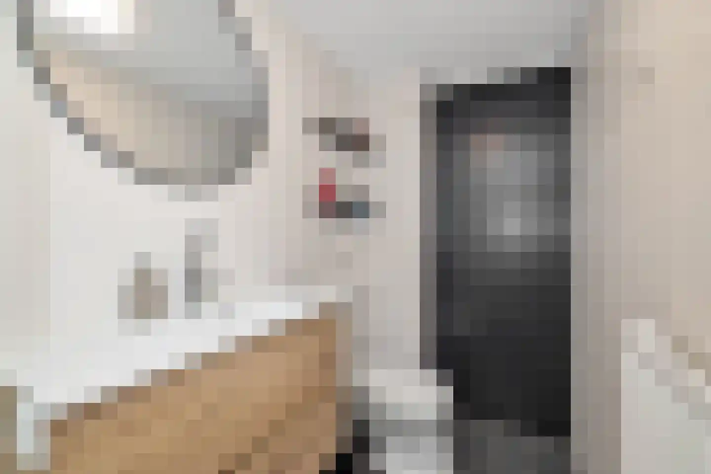 Scholeksterlaan 17 Schagen thumbnail 26