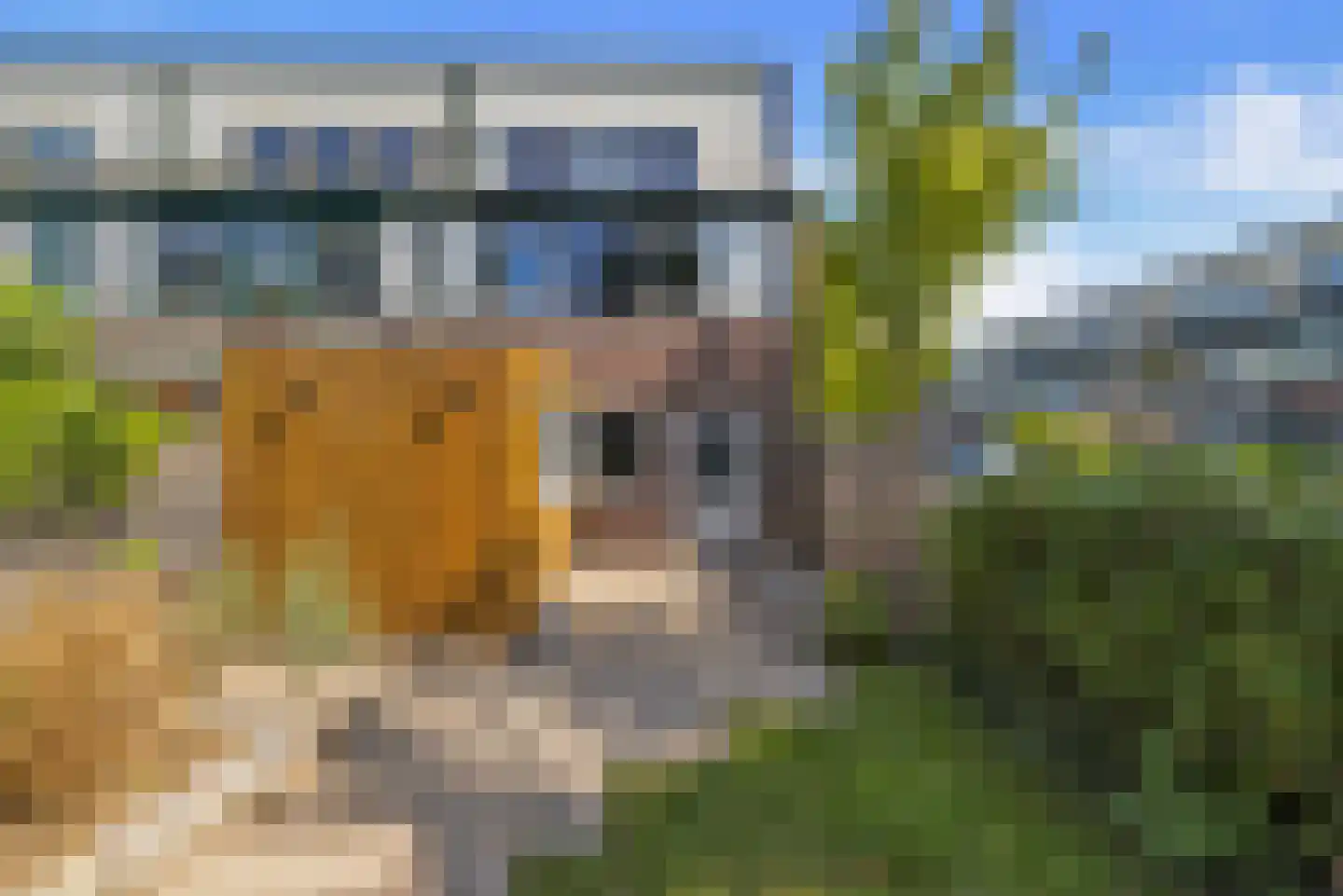 Scholeksterlaan 17 Schagen thumbnail 9
