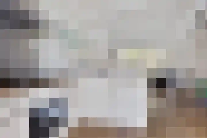 Scholeksterlaan 2 Sneek thumbnail 13