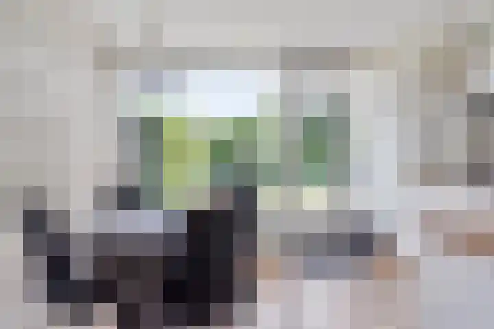 Scholeksterlaan 2 Sneek thumbnail 15