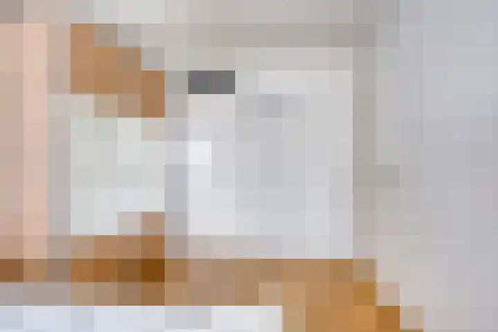 Scholeksterlaan 2 Sneek thumbnail 17
