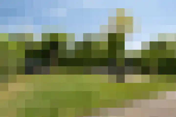 Scholeksterlaan 2 Sneek thumbnail 22