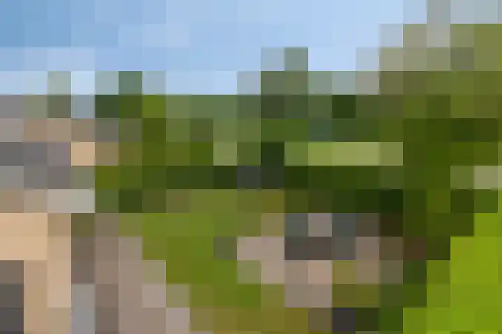 Scholeksterlaan 2 Sneek thumbnail 23