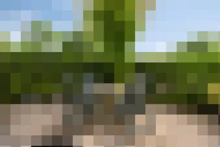 Scholeksterlaan 2 Sneek thumbnail 24