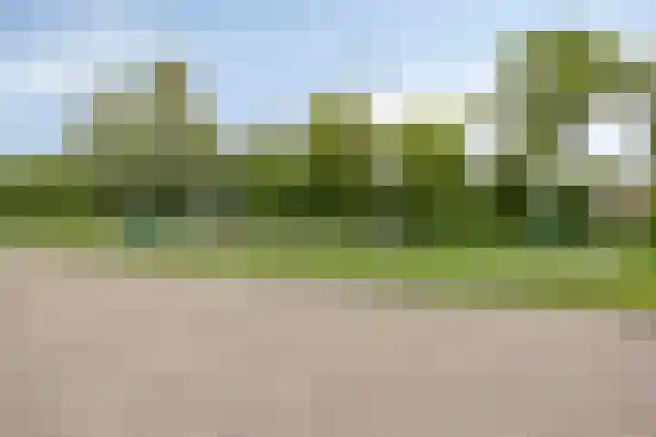 Scholeksterlaan 2 Sneek thumbnail 27
