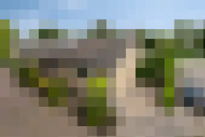 Scholeksterlaan 2 Sneek thumbnail 6