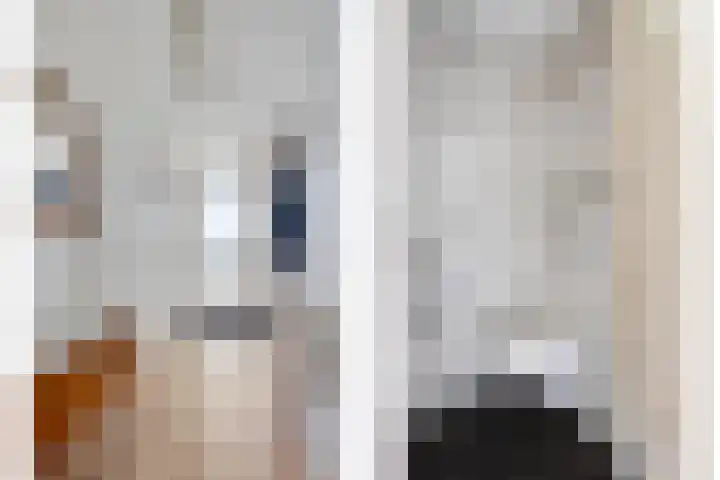 Scholeksterlaan 2 Sneek thumbnail 8