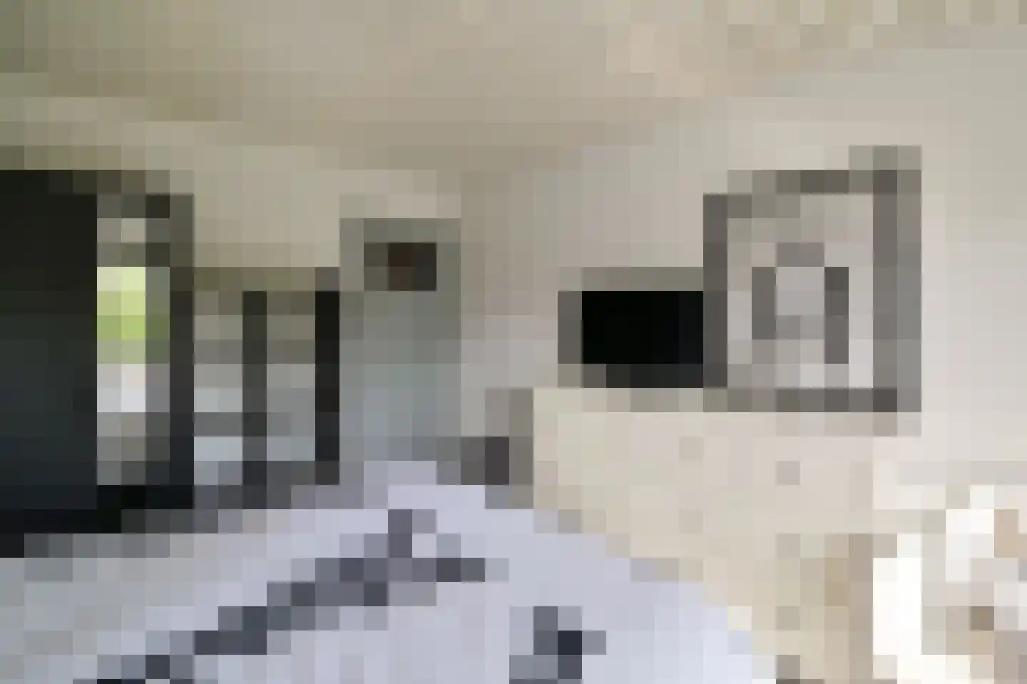 Scholeksterlaan 25 Vinkeveen thumbnail 17