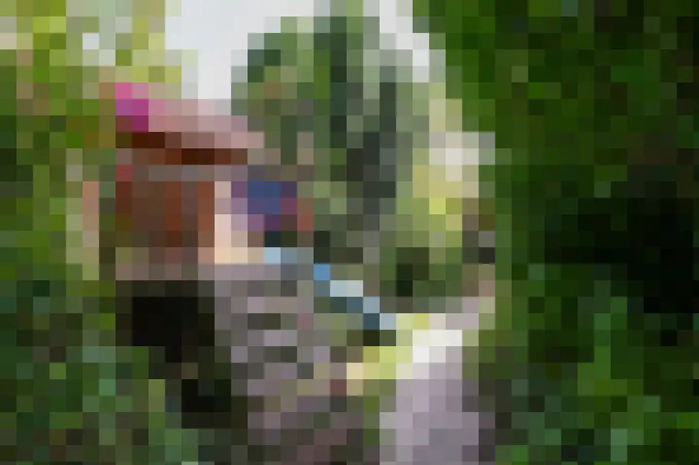 Scholeksterlaan 25 Vinkeveen thumbnail 28