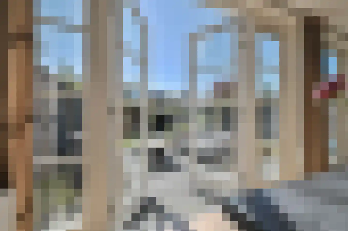 Scholeksterlaan 3 Vinkeveen thumbnail 14