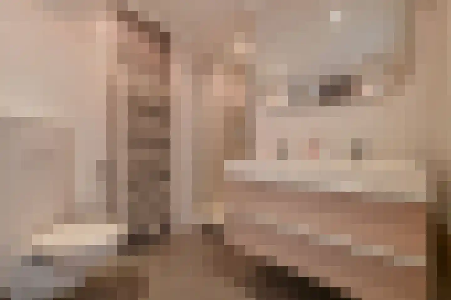 Scholeksterlaan 3 Vinkeveen thumbnail 30