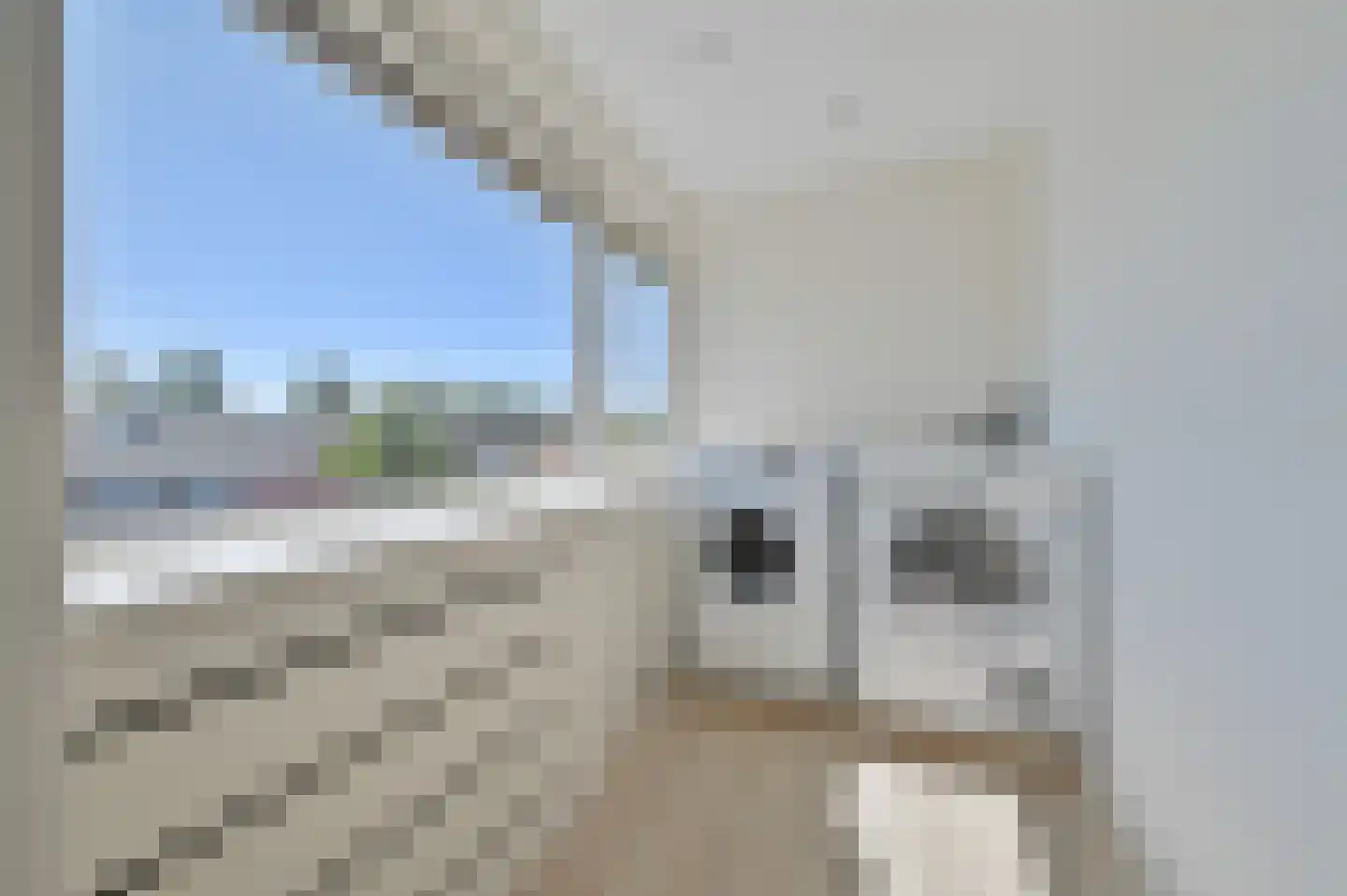 Scholeksterlaan 3 Vinkeveen thumbnail 33