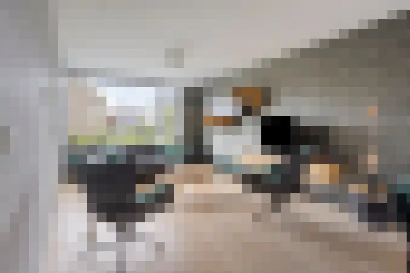 Scholeksterlaan 4 Wieringerwaard thumbnail 10