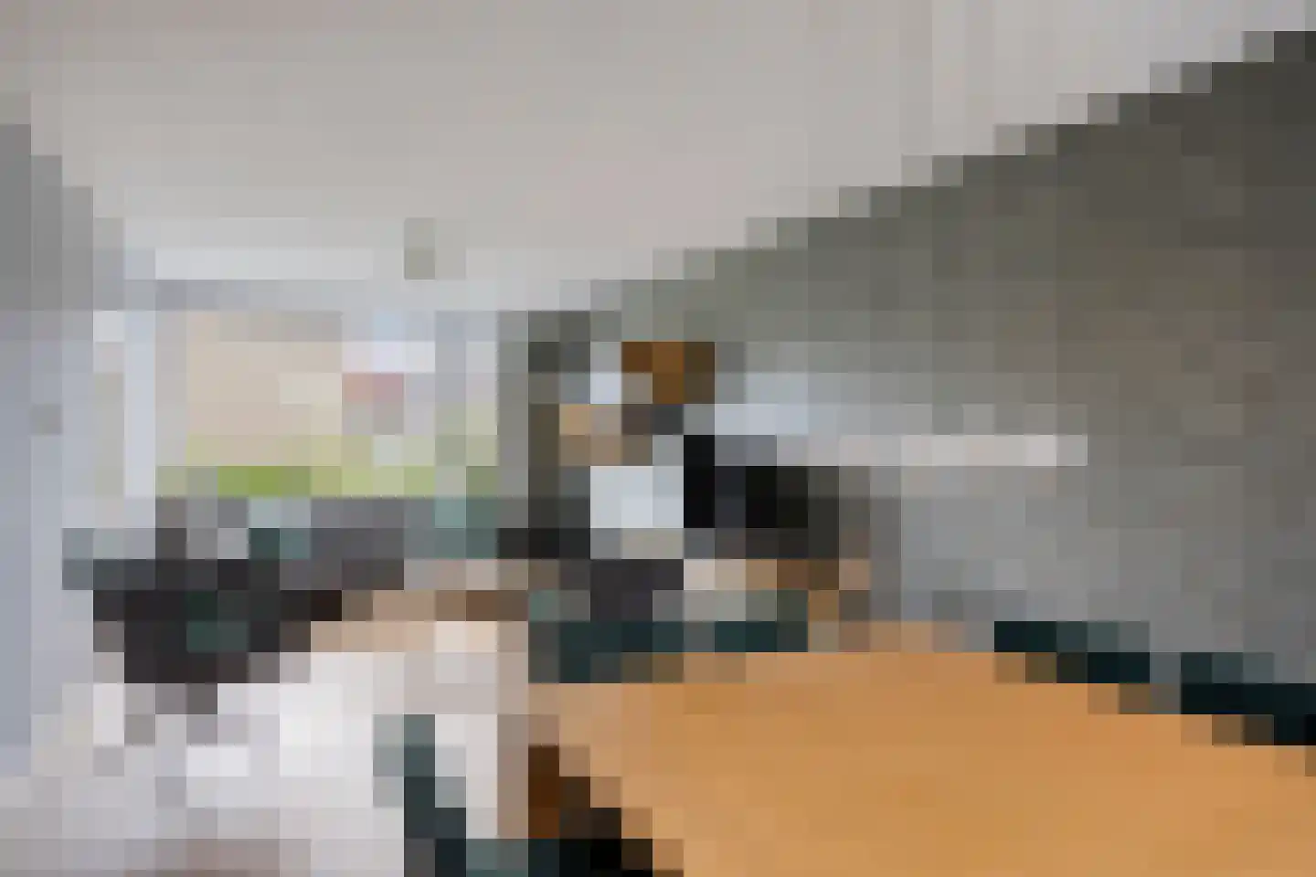 Scholeksterlaan 4 Wieringerwaard thumbnail 13