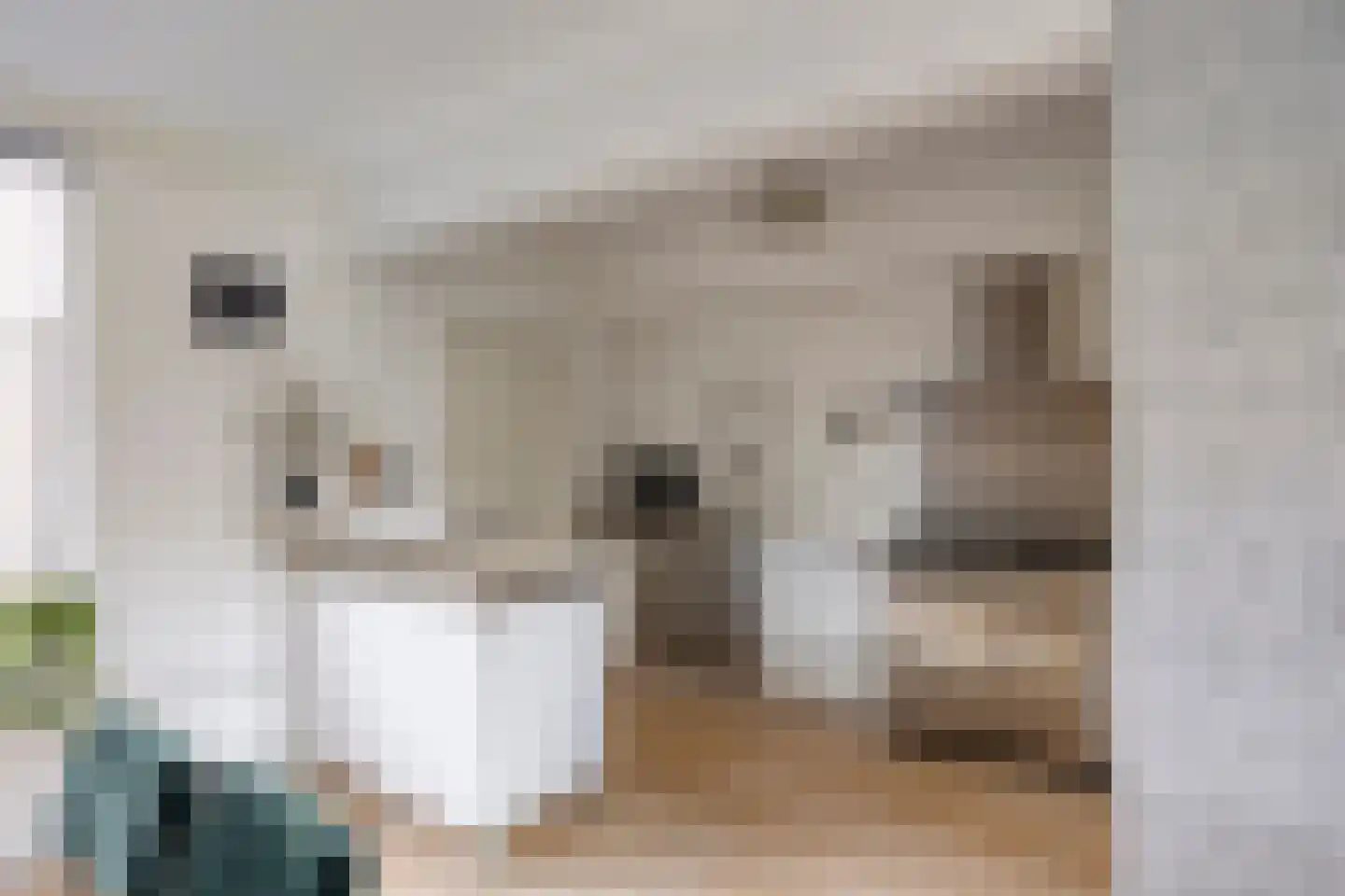 Scholeksterlaan 4 Wieringerwaard thumbnail 15