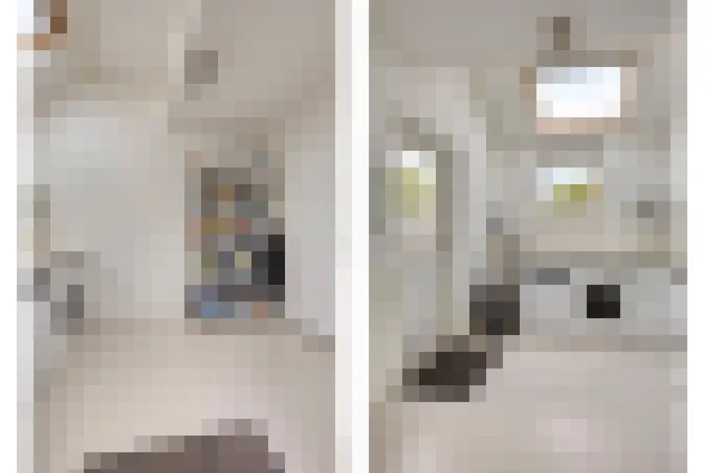 Scholeksterlaan 4 Wieringerwaard thumbnail 18