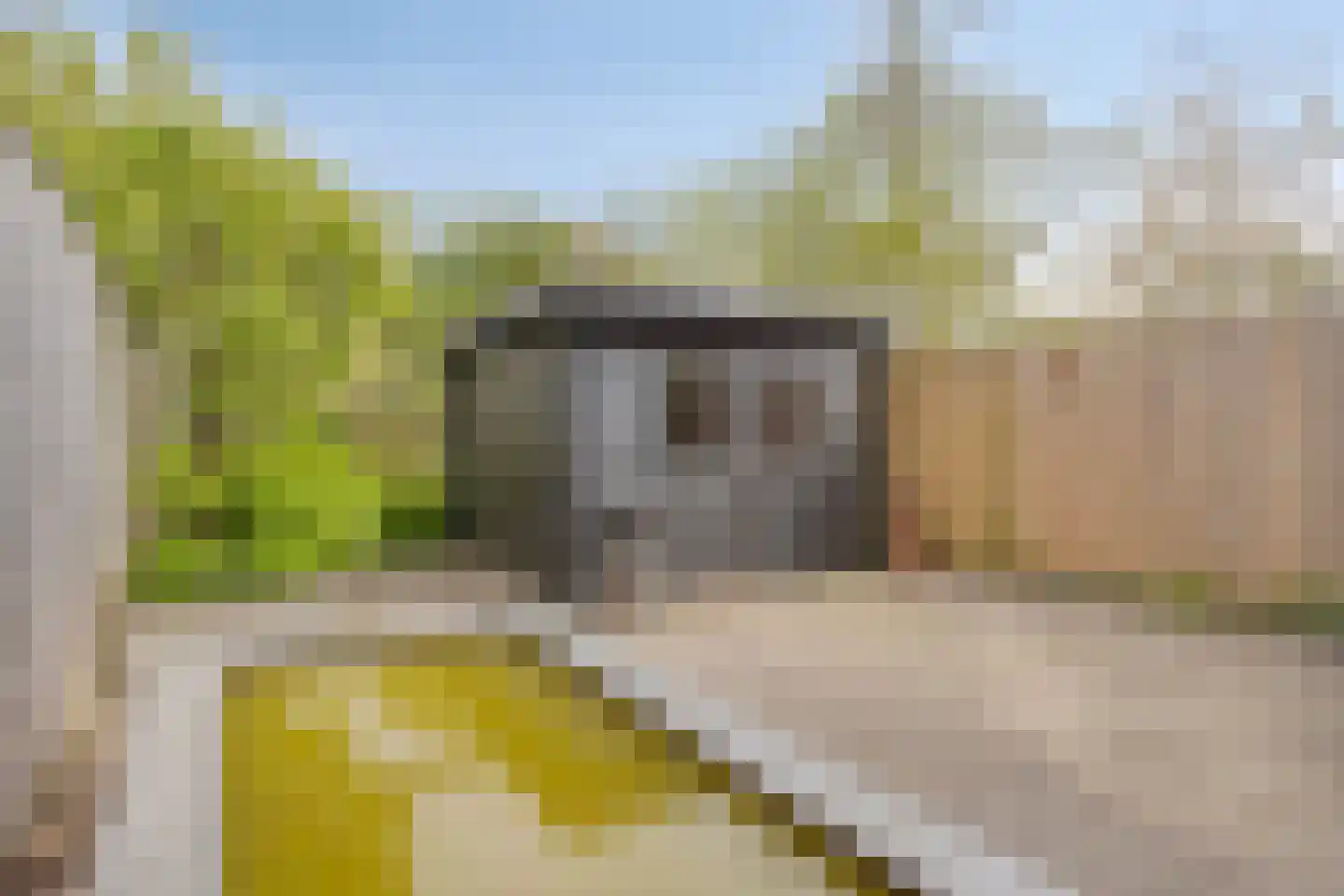 Scholeksterlaan 4 Wieringerwaard thumbnail 29