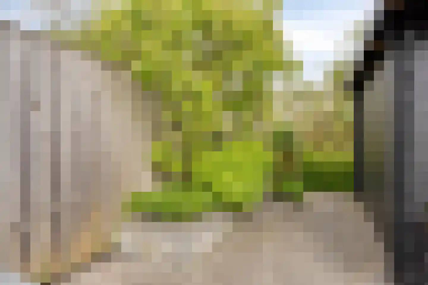 Scholeksterlaan 4 Wieringerwaard thumbnail 31
