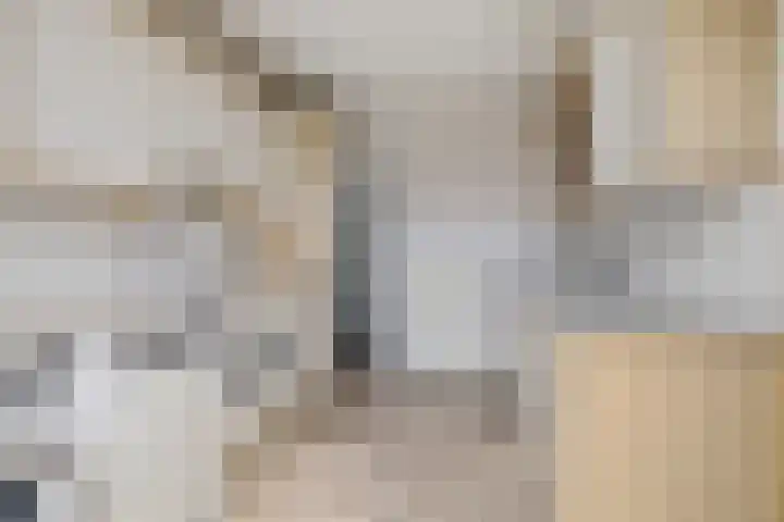 Scholeksterlaan 7 Schagen thumbnail 10