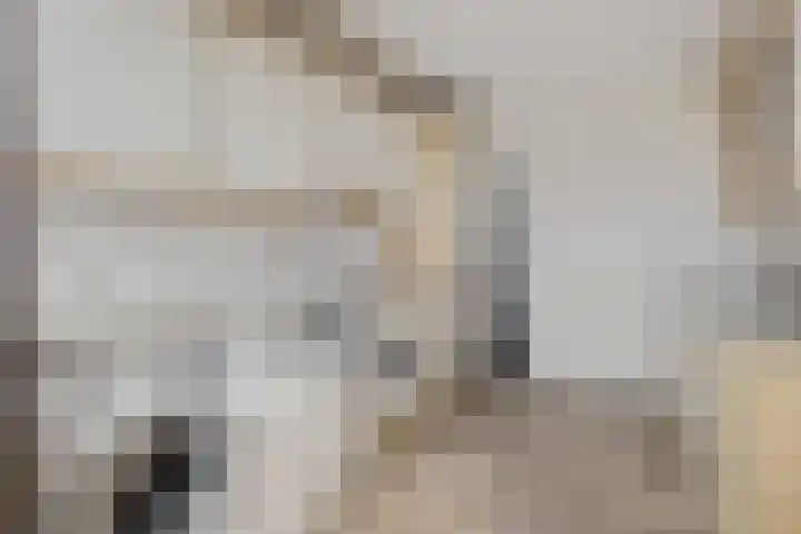 Scholeksterlaan 7 Schagen thumbnail 11