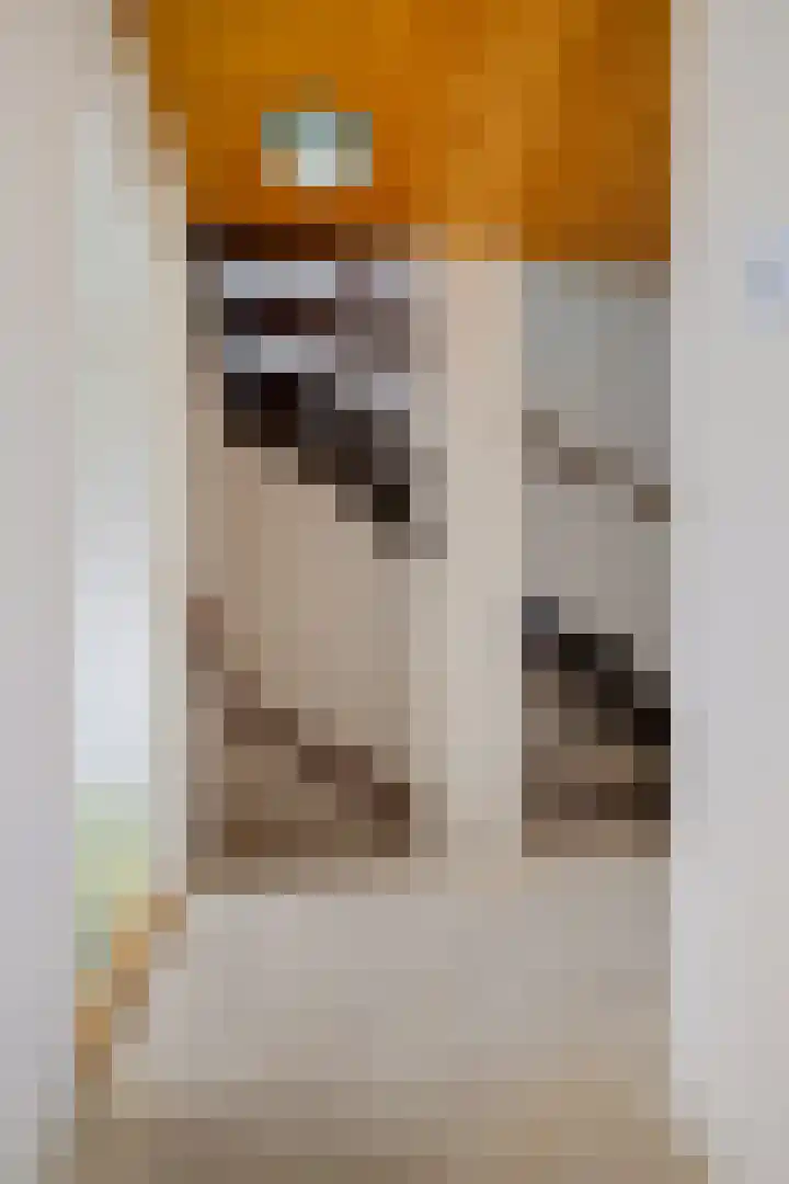Scholeksterlaan 7 Schagen thumbnail 14