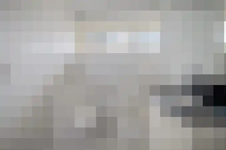 Scholeksterlaan 7 Schagen thumbnail 15