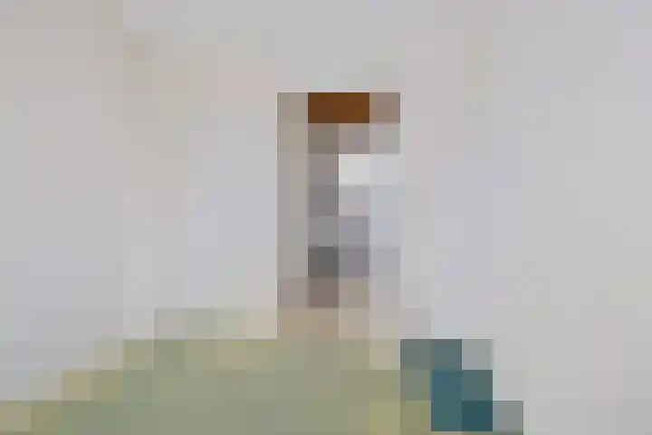 Scholeksterlaan 7 Schagen thumbnail 27