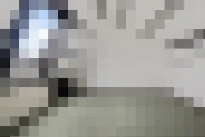 Scholeksterlaan 7 Schagen thumbnail 30
