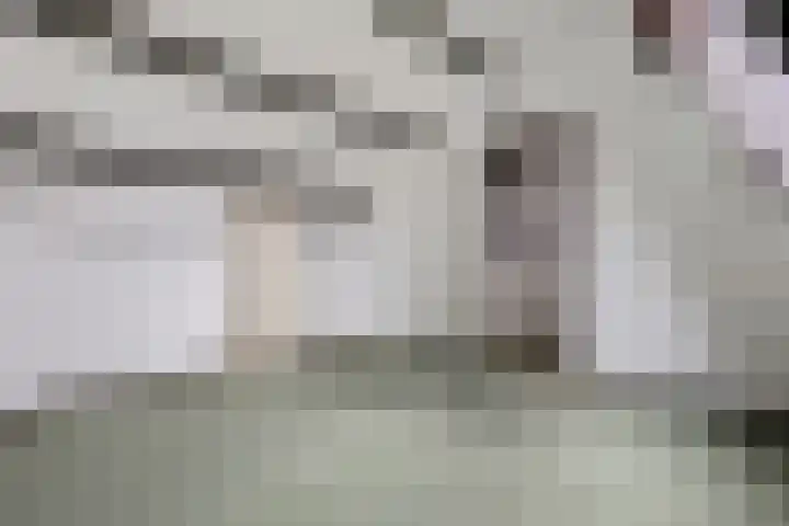Scholeksterlaan 7 Schagen thumbnail 31