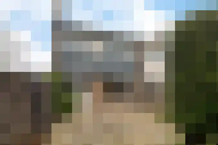 Scholeksterlaan 7 Schagen thumbnail 35