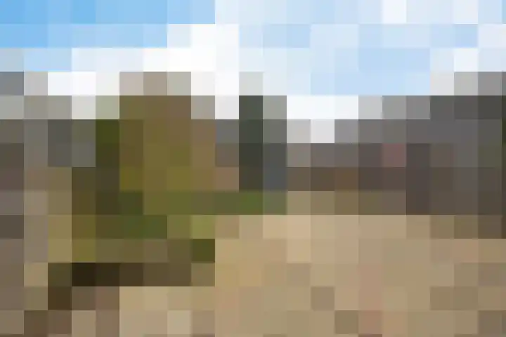 Scholeksterlaan 7 Schagen thumbnail 37