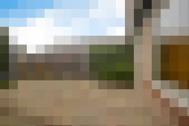 Scholeksterlaan 7 Schagen thumbnail 38