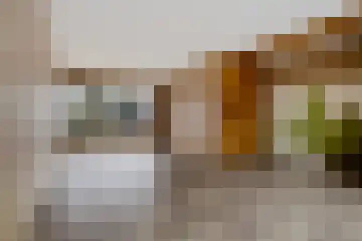 Scholeksterlaan 7 Schagen thumbnail 5