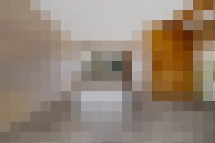 Scholeksterlaan 7 Schagen thumbnail 7