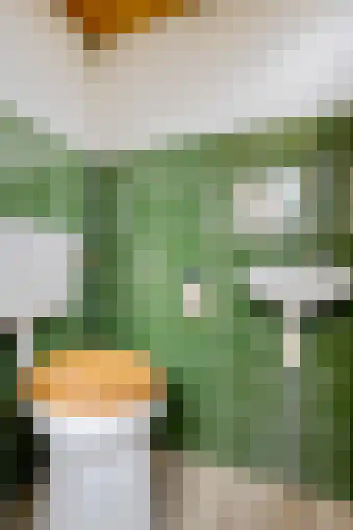 Scholeksterlaan 7 Schagen thumbnail 8