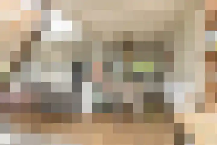 Scholeksterlaan 70 Sneek thumbnail 10