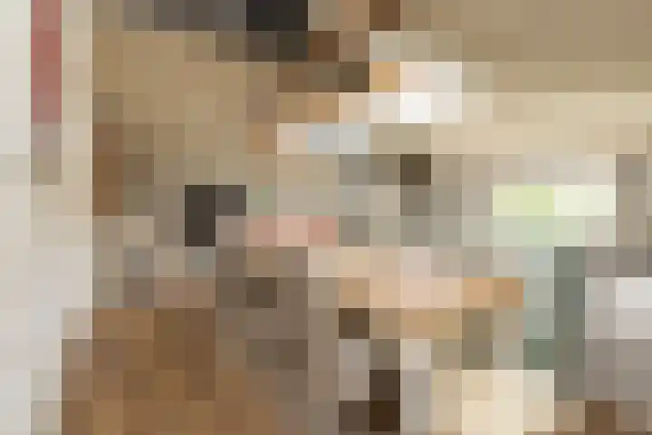 Scholeksterlaan 70 Sneek thumbnail 11