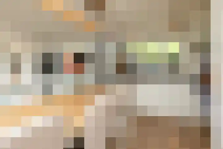 Scholeksterlaan 70 Sneek thumbnail 12