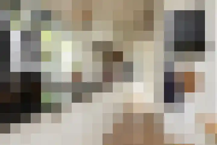 Scholeksterlaan 70 Sneek thumbnail 13
