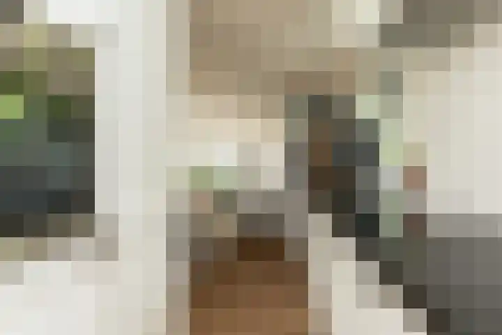 Scholeksterlaan 70 Sneek thumbnail 14