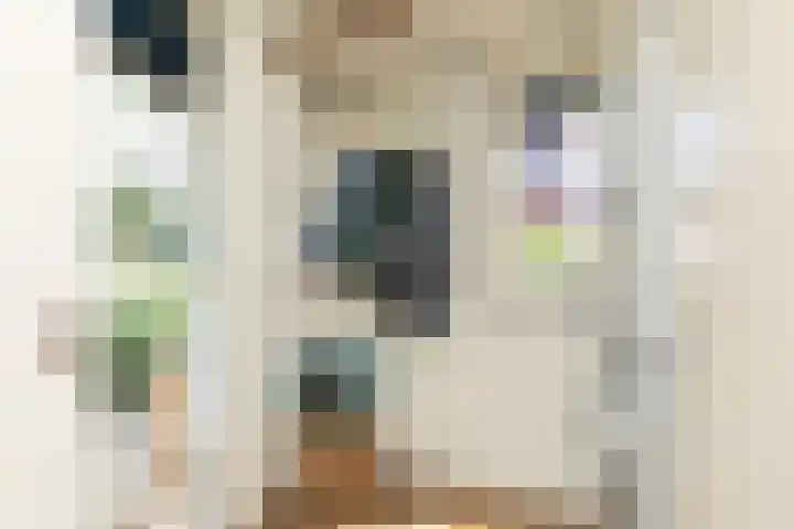 Scholeksterlaan 70 Sneek thumbnail 15