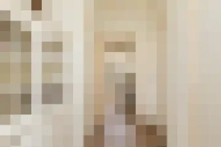 Scholeksterlaan 70 Sneek thumbnail 18