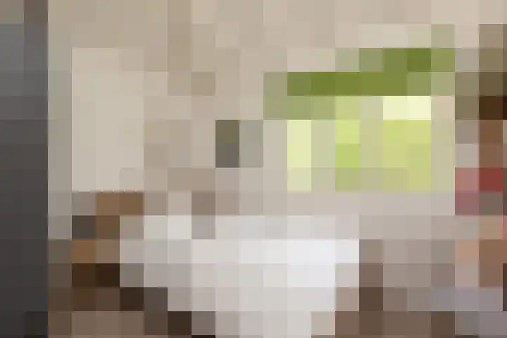 Scholeksterlaan 70 Sneek thumbnail 21