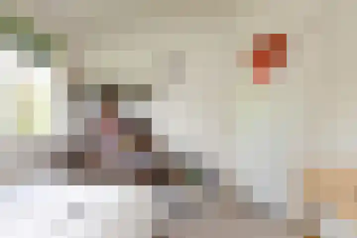 Scholeksterlaan 70 Sneek thumbnail 22