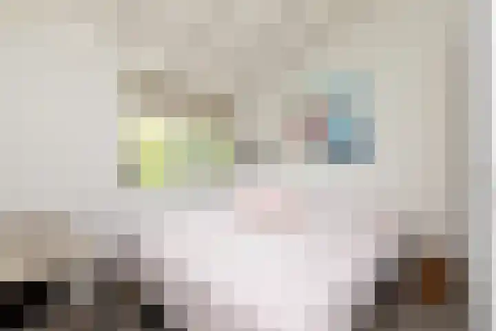 Scholeksterlaan 70 Sneek thumbnail 23